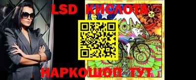 кокс Кингисепп