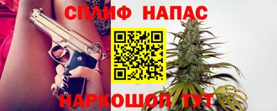 кокс Кингисепп