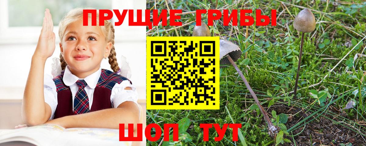 наркошоп  Псилоцибиновые грибы прущие грибы  Вход с VPN  Коряжма 