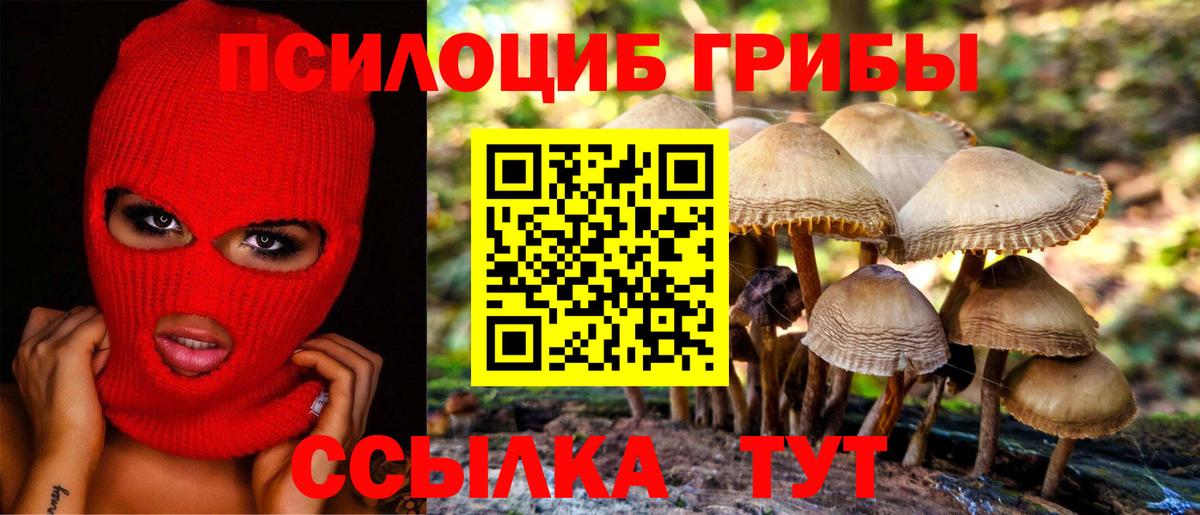 Галлюциногенные грибы Cubensis Коряжма